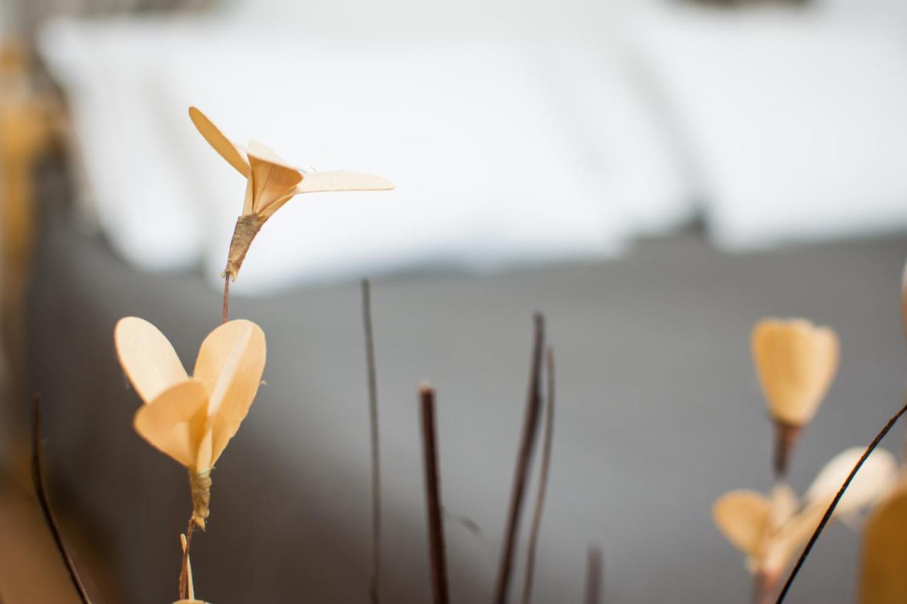 Karmela Rustic Apartment เซนญ์ ภายนอก รูปภาพ